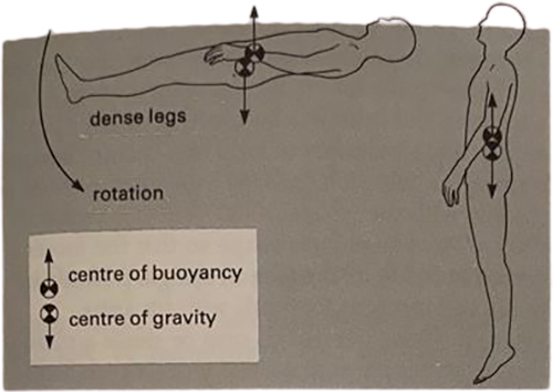 Swimmer with dense legs body position in the water.